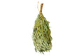 Eukalyptus-Saunabesen – Rento