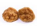 NATURSCHWAMM – GELBER PAZIFIK (18–19 cm)