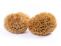 NATURSCHWAMM - MEERESWELLEN (12–13 cm)