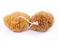 NATURSCHWAMM – GELBER PAZIFIK MIT RIEMEN (11–12 cm)