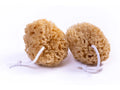 NATURSCHWAMM – MEERESWELLEN (7-9 cm)