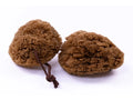 NATURSCHWAMM – BRAUNES MINERAL mit Schnur (9–10 cm)