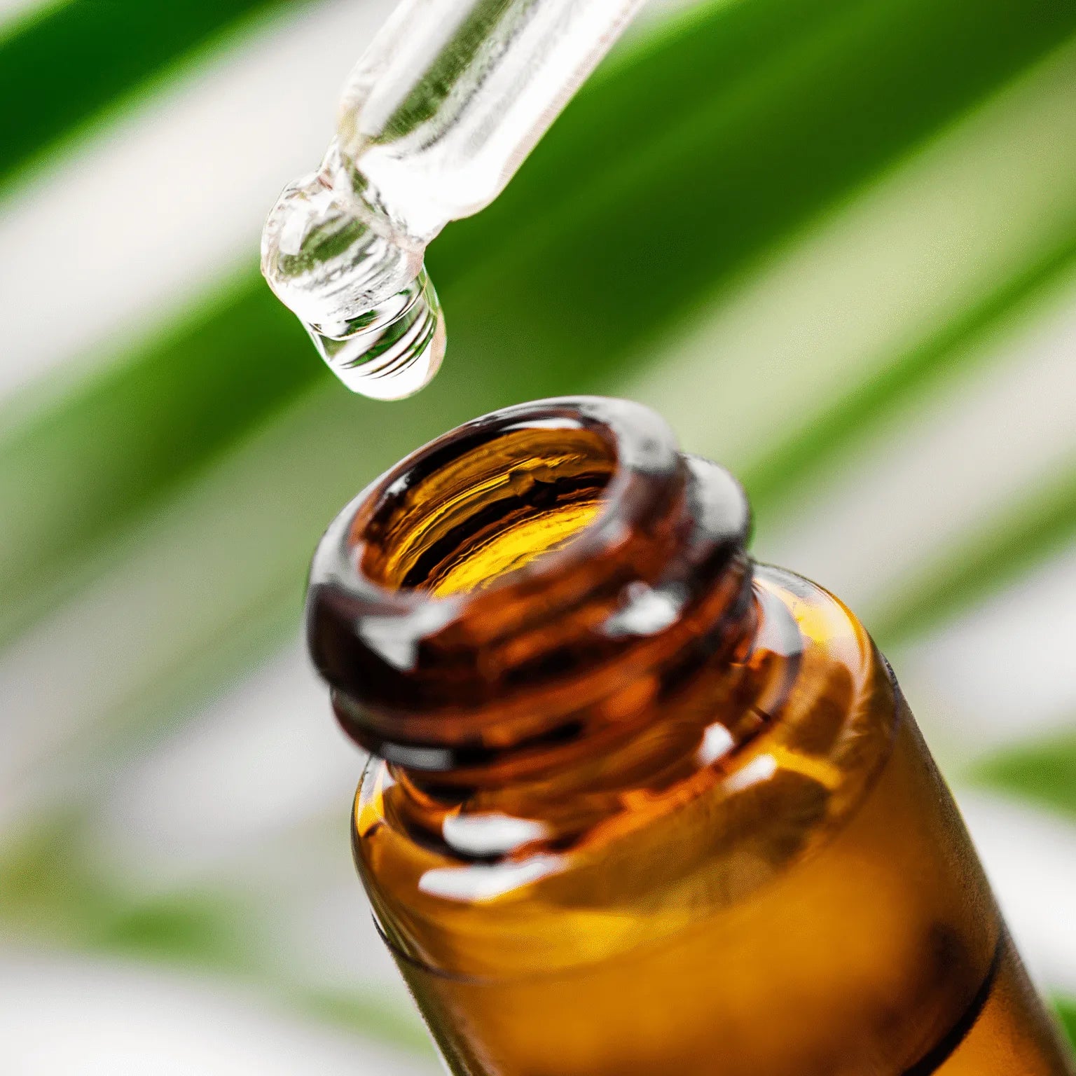 Grapeseed oil 