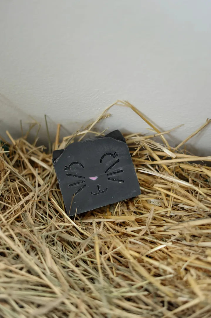 Meine glückliche Katze