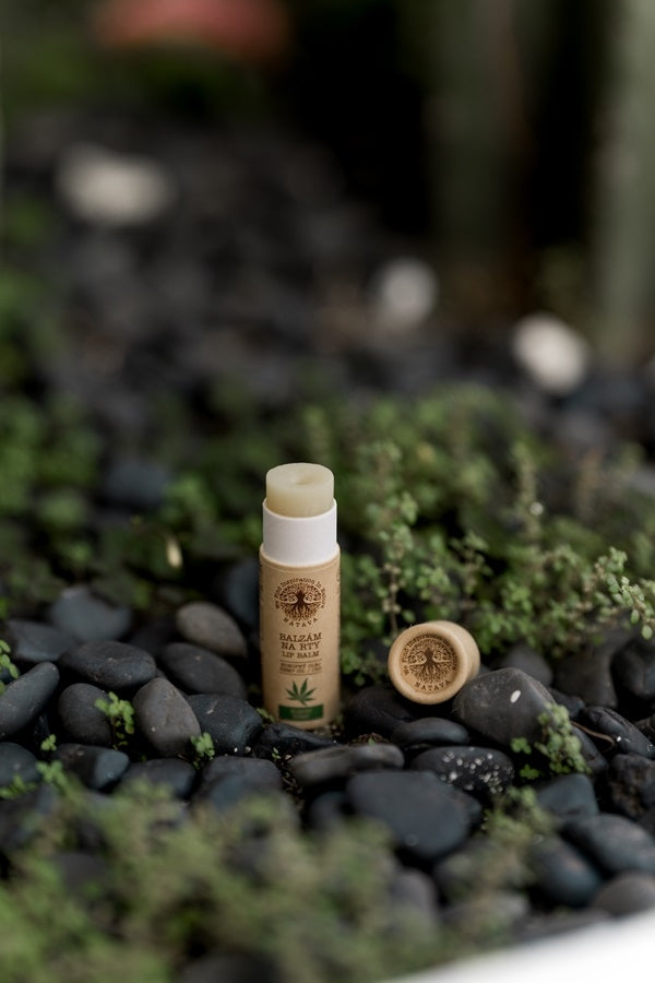 NATAVA Lippenbalsam – Hanf