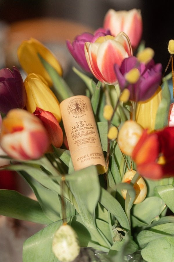 Solid deodorant – Alpine freshness